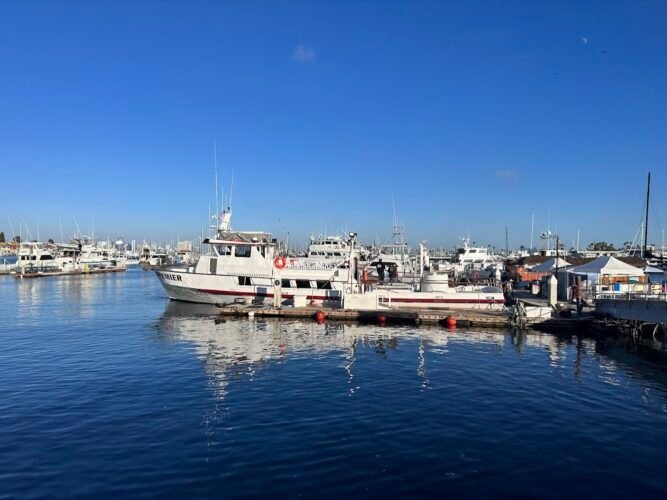 IV Therapy in San Diego Hangover IV – San Diego, California